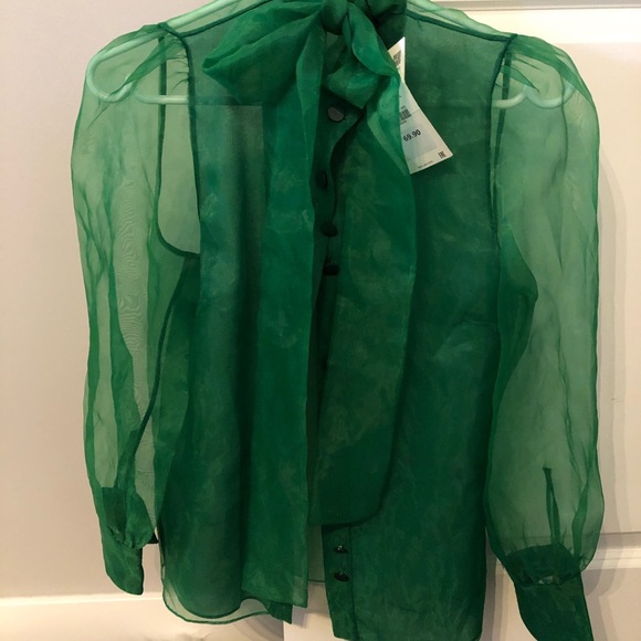 Zara Organza Top - Picture 1 of 4